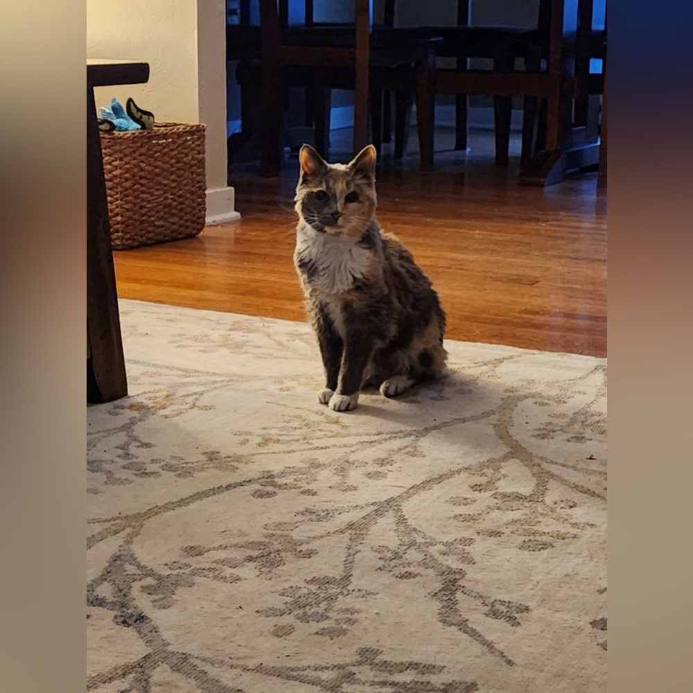 Meet your Posher, Megan